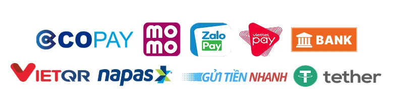 Các phương thức thanh toán được hỗ trợ: MoMo, ZaloPay, Viettel Money, VNPay, VietQR, NAPAS, Tether