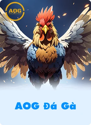 AOG Đá Gà