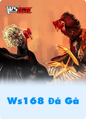 Ws168 Đá Gà